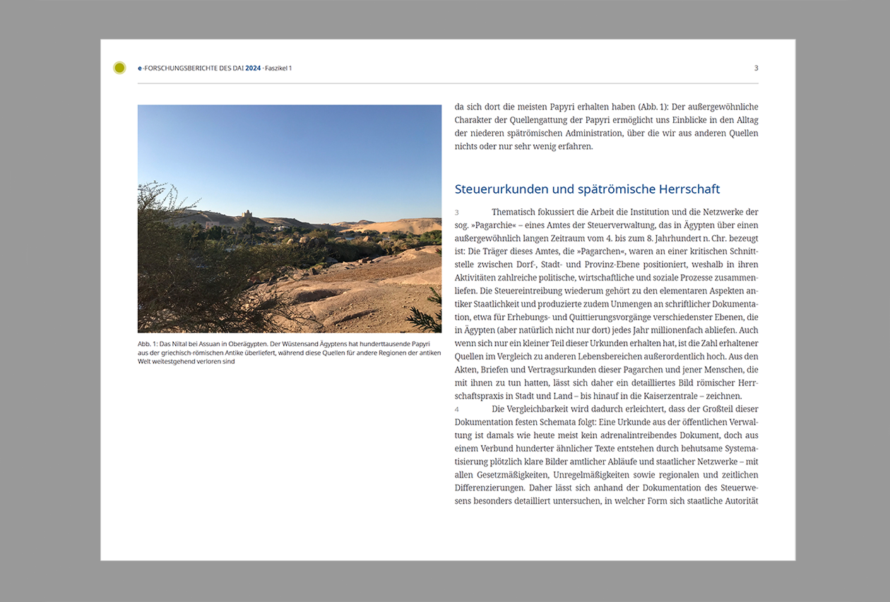 Layout und Satz der Onlinepublikation e-Forschungsberichte